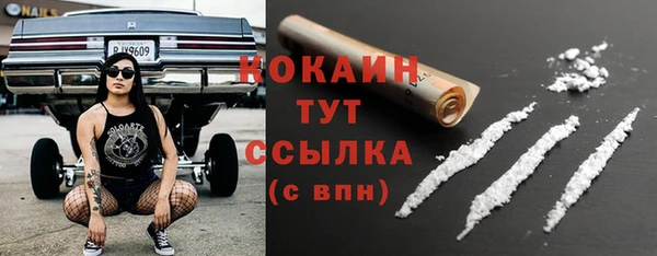 экстази Гусев