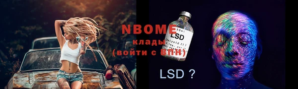 хмурый Гусь-Хрустальный