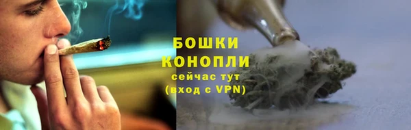 экстази Гусев
