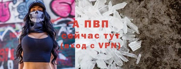экстази Гусев