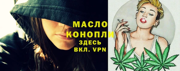 хмурый Гусь-Хрустальный