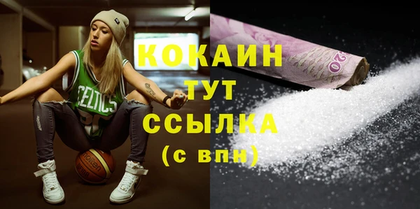 хмурый Гусь-Хрустальный