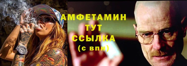 хмурый Гусь-Хрустальный